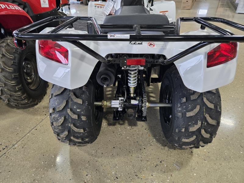 2025 ARGO XPLORER XR 150 4X2 ATV
