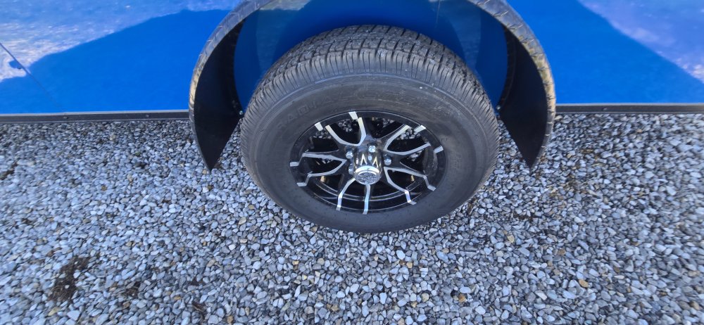 6'x12' Rock Solid Cargo Concession