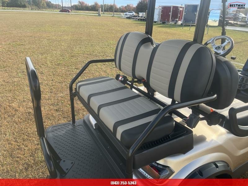 New 2025   Golf Cart