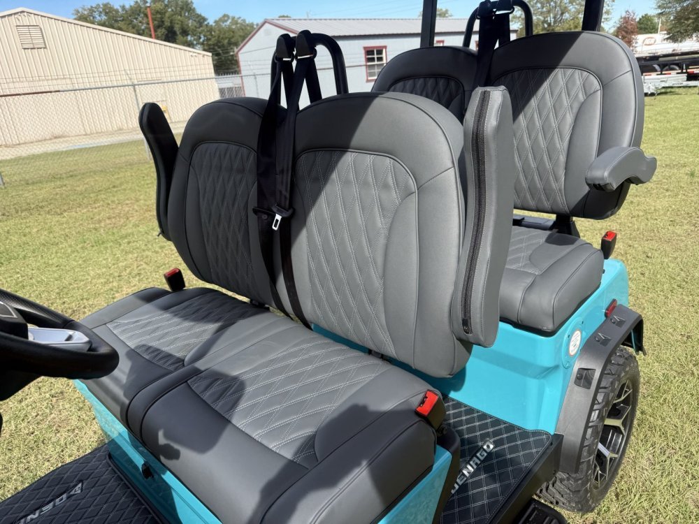 New 2026 Denago EV ROVER XL AQUA Golf Cart