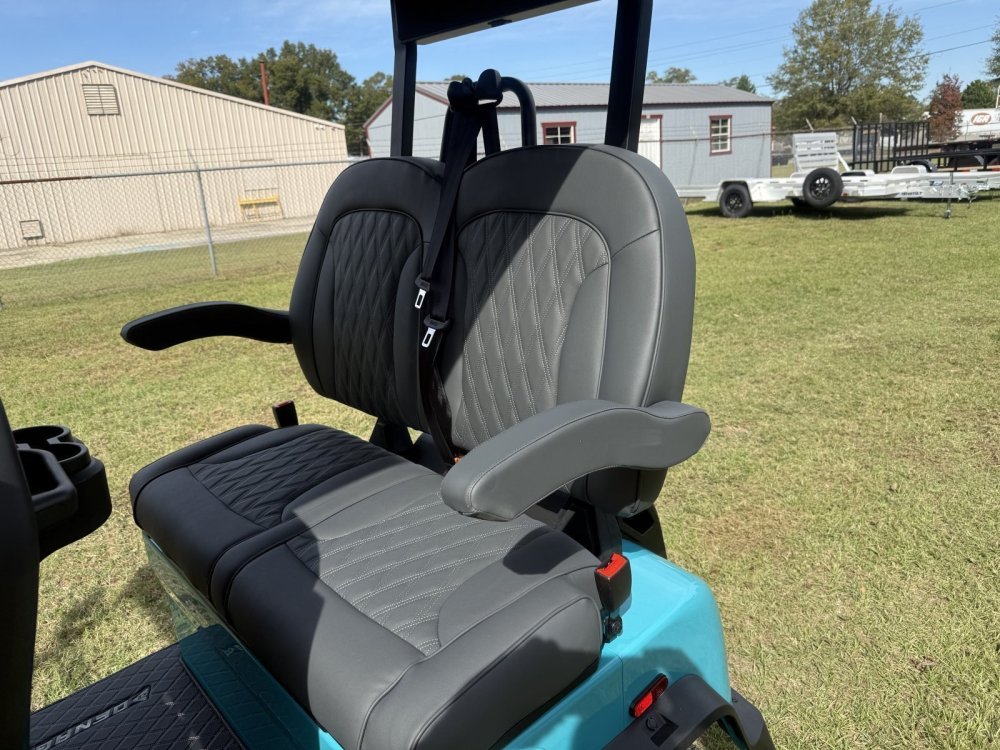 New 2026 Denago EV ROVER XL AQUA Golf Cart