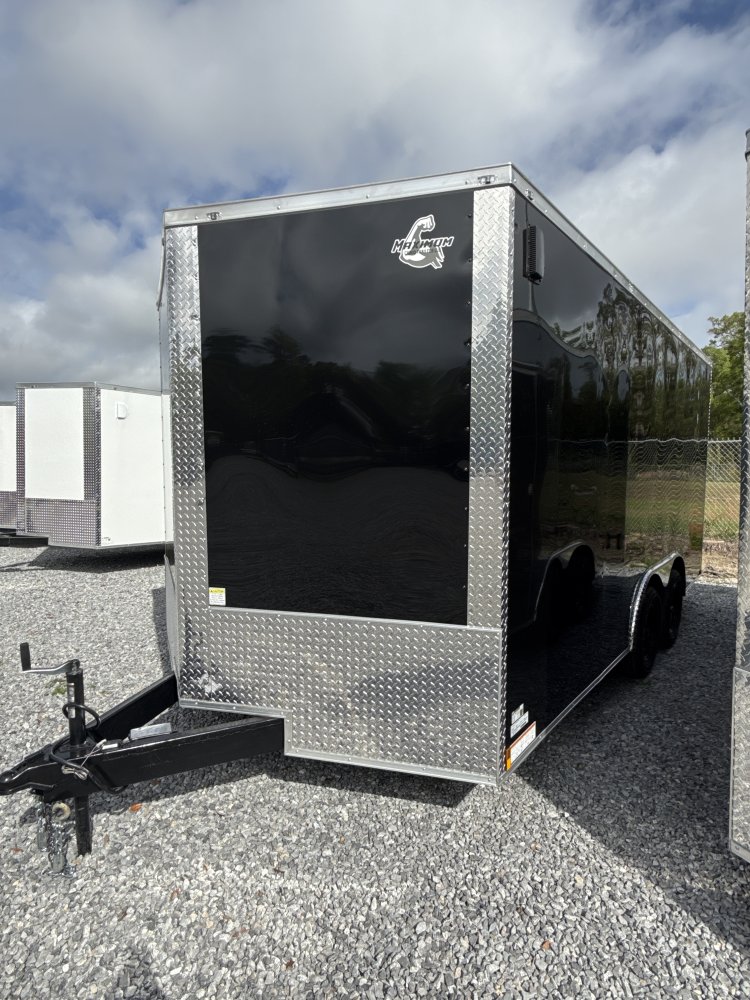 8' 5"x16' Maximum Cargo Cargo