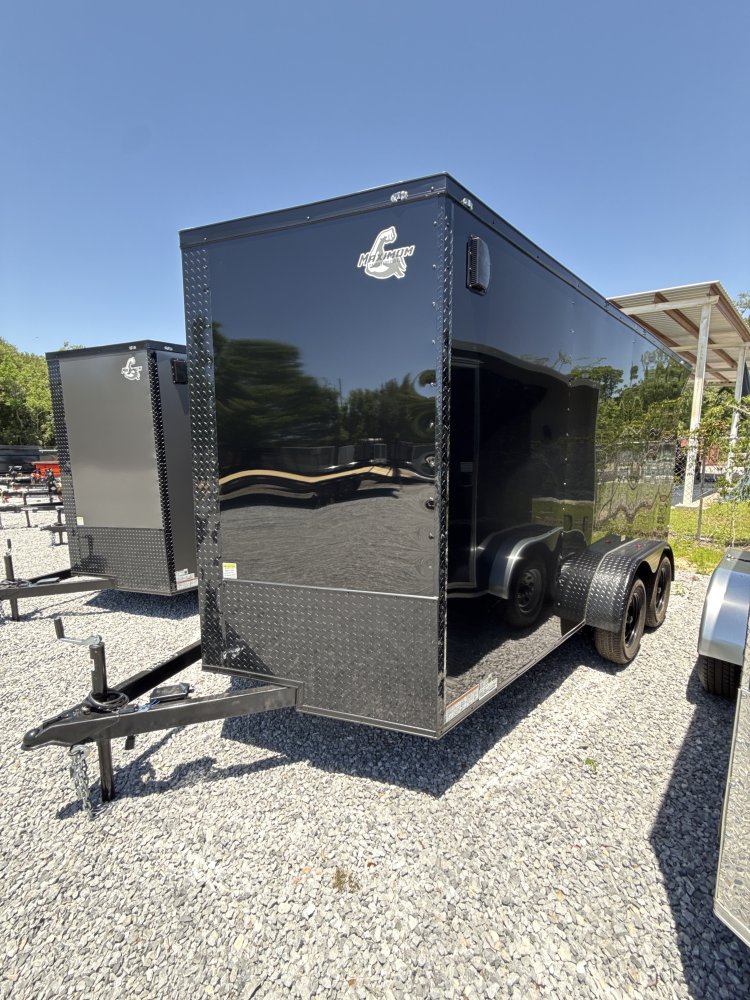 7'x14' Maximum Cargo Cargo