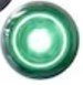 TECNIQ MINI CLEARANCE MARKER LIGHT 3/4" ROUND CLEAR LENS, GREEN LED W/ PIGTAIL & GROMMET 9" BULLET