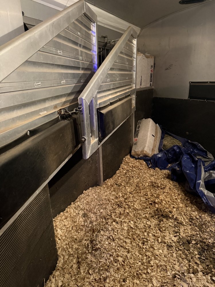 2005 Elite 3 Horse 17' Outlaw Conversions