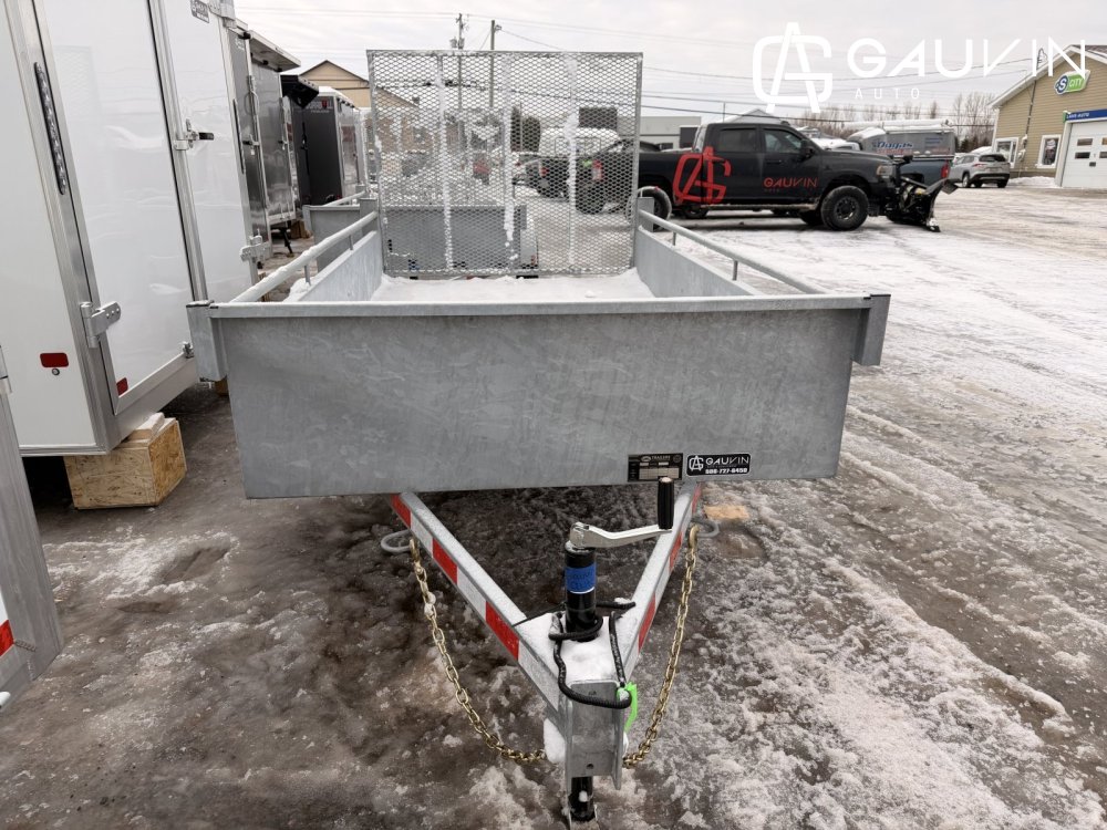 2026 LWL T10LS03LPG 5X10SA Utility Galvanized