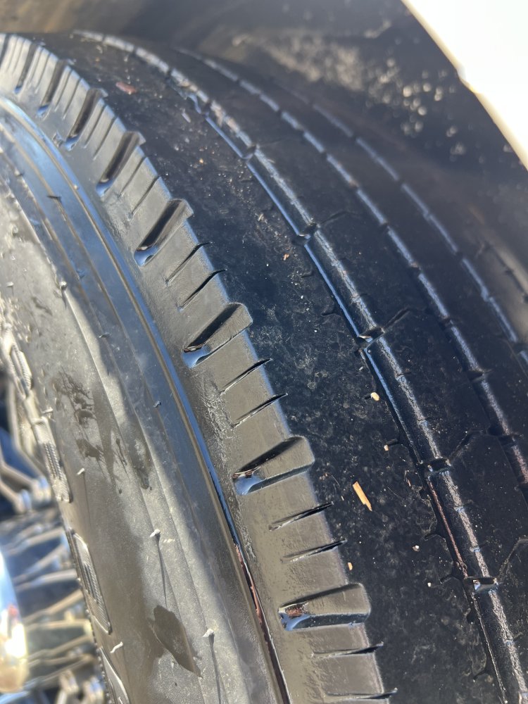 2022 Bison 7310 Silverado 3 Horse Living Quarters Trailer - Consignment Unit