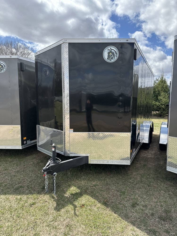 Tandem Axle Steel Enclosed Trailers