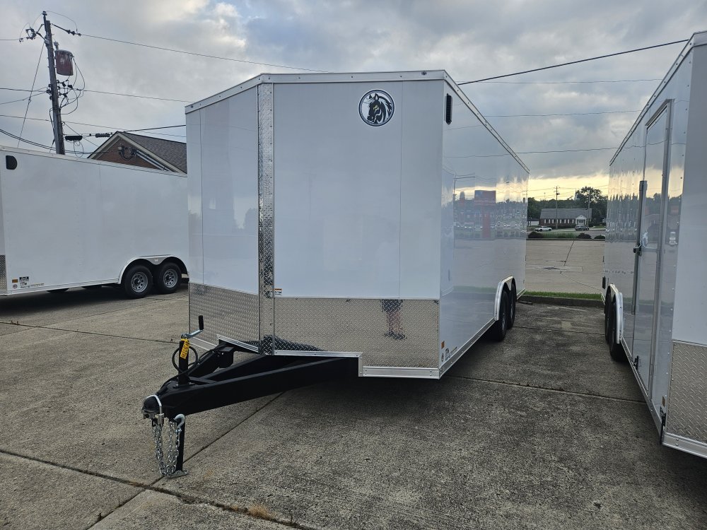 8.5'x20' Darkhorse Flat Front Enclosed