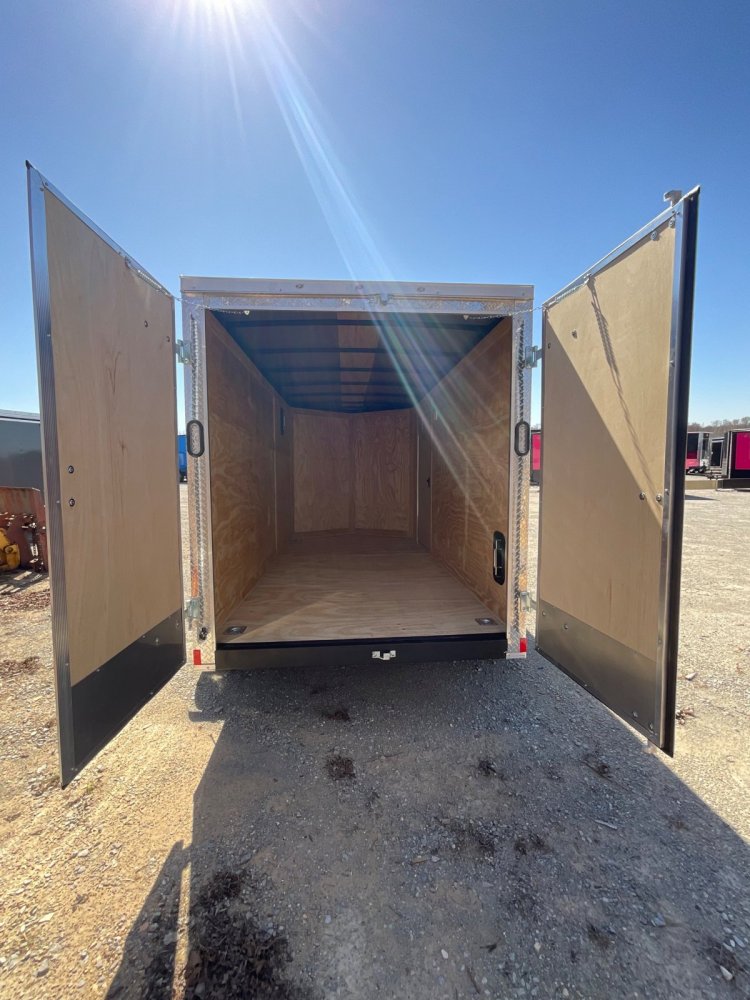 6'x12' Rock Solid Cargo Enclosed Barn Doors