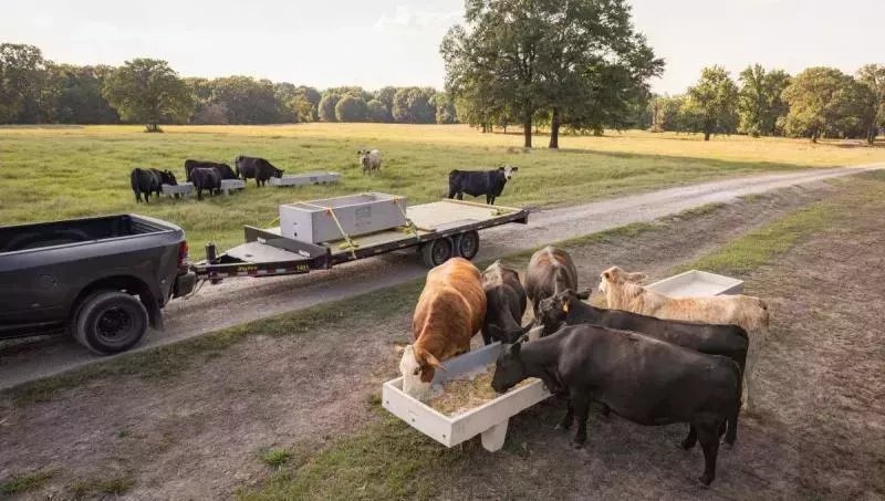 2026 Big Tex Trailers 14OA-24 Deckover Trailer