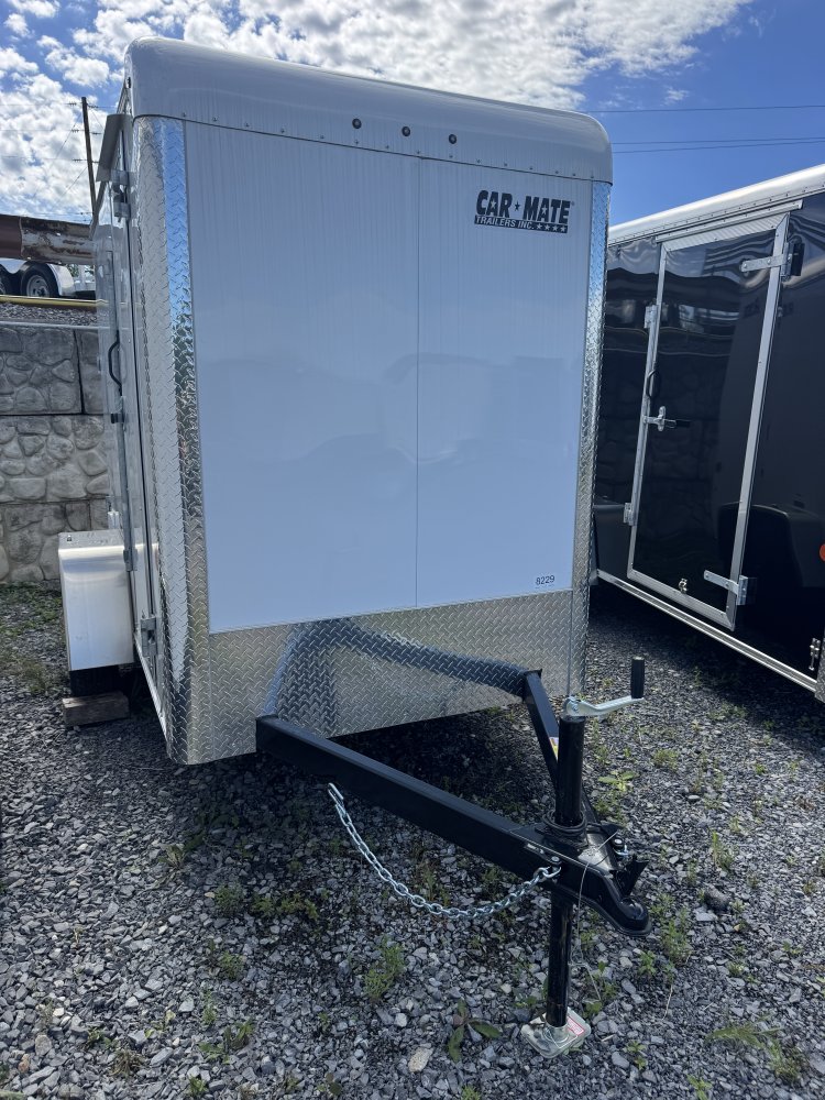 5' x 8.5' Custom Cargo R/D+12"