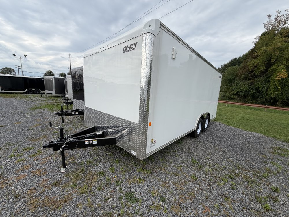 8' x 18' Custom Cargo S/D -10K