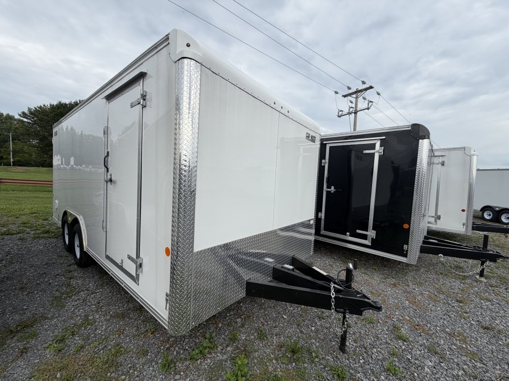 8' x 18' Custom Cargo S/D -10K
