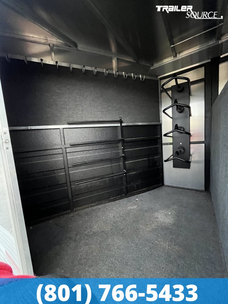 7x20 LOGAN COACH Horse